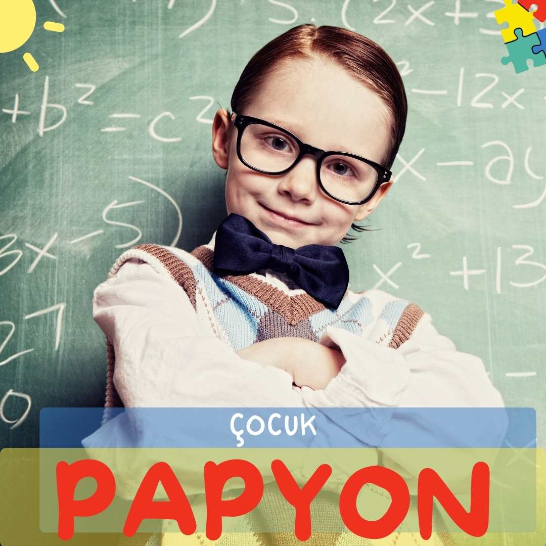 papyon.jpg (97 KB)