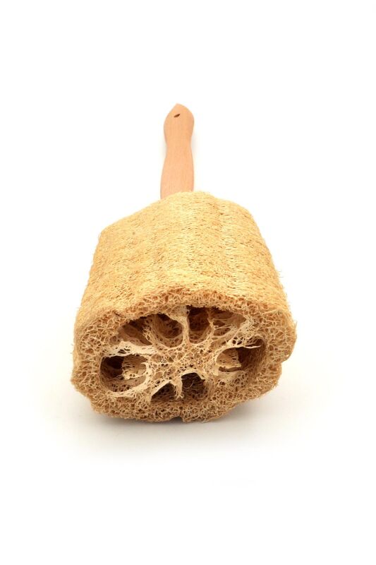 Ahşap Saplı Doğal Kabak Lifi Sırt Fırçası 8x40 cm. - 4