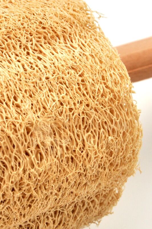 Ahşap Saplı Doğal Kabak Lifi Sırt Fırçası 8x40 cm. - 7