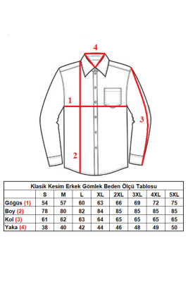 Beyaz Rahat Kesim Micro Kumaş Kol Düğmeli Regular Fit Erkek Gömlek - 190-1 - 3