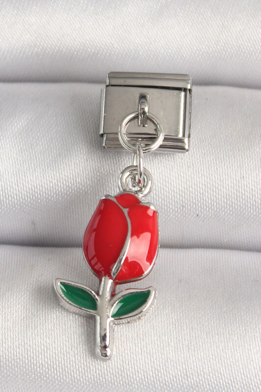 Gümüş Renk Kırmızı Gül Model Nomination Charm - EBJ250501W32846 - 1