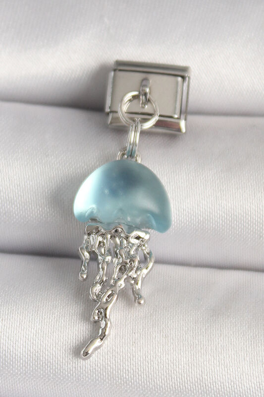 Gümüş Renk Mavi Mineli Deniz Anası Model Nomination Charm - EBJ250501W32898 - 1
