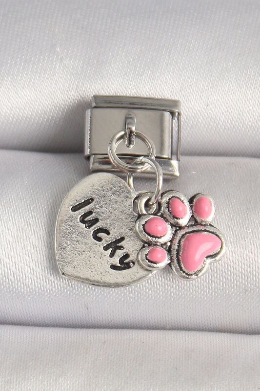 Gümüş Renk Pembe Pati 'lucky' İşlemeli Kalp Model Nomination Charm - EBJ250501W32869 - 1