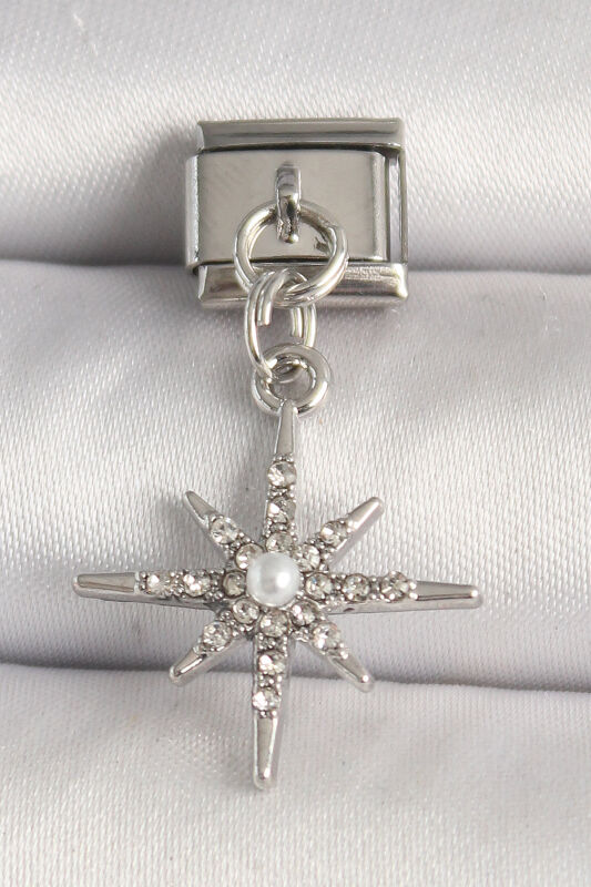 Gümüş Renk Zirkon Taşlı İnci Detay Kuzey Yıldız Model Nomination Charm - EBJ250501W32909 - 1