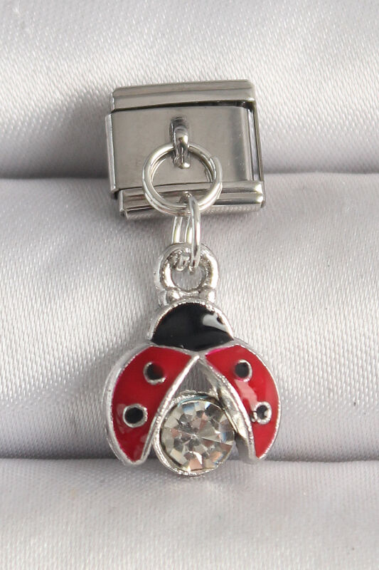 Gümüş Renk Zirkon Taşlı Uğur Böceği Model Nomination Charm - EBJ250501W32878 - 1