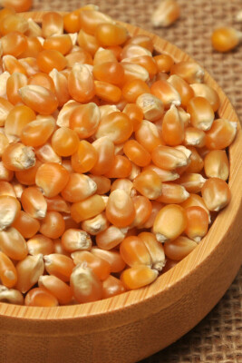 Popcorn Patlamış Mısır Cips 1 KG - 2